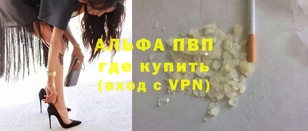 прущие грибы Богородицк