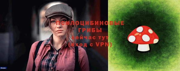 прущие грибы Богородицк