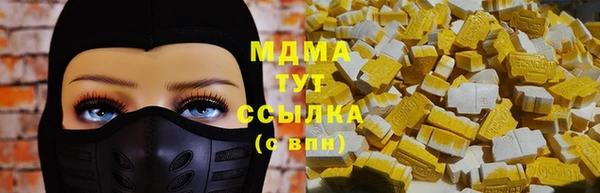 прущие грибы Богородицк