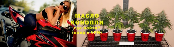 прущие грибы Богородицк