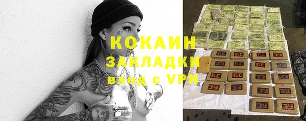 spice Бородино