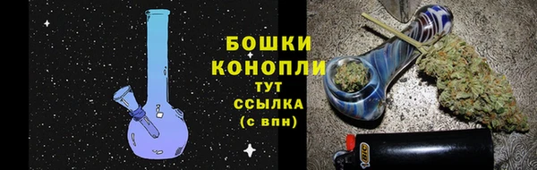 прущие грибы Богородицк