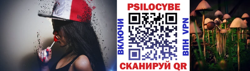 Купить закладки  Рошаль  Псилоцибиновые грибы мухоморы 
